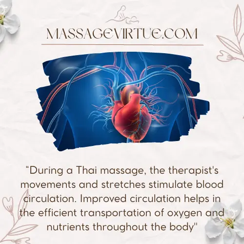 what can I expect from a full body Thai massage - Improved Circulation